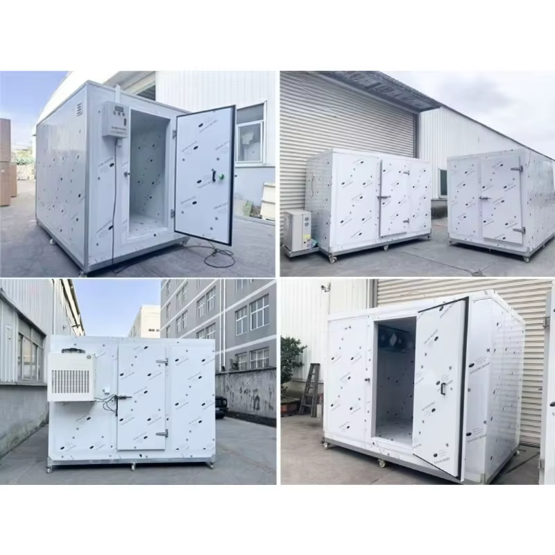 Chambre froide modulaire personnalisée avec télécommande pour le stockage d'aliments, de fruits de m