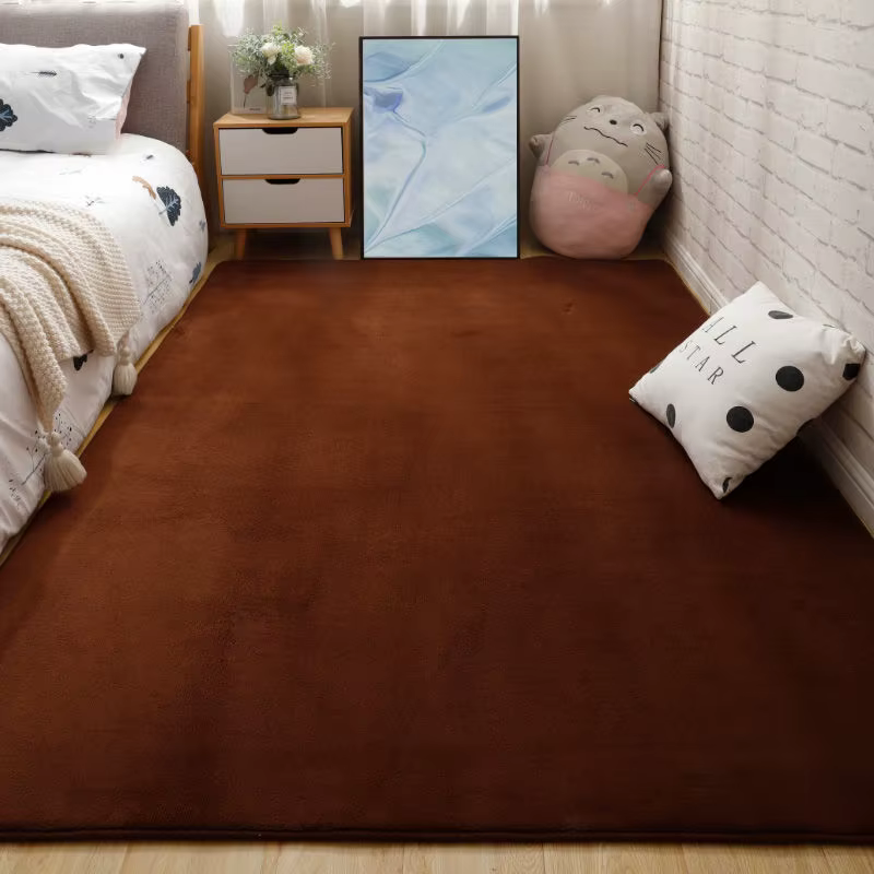 Grands tapis pour salon moderne, couleur unie, velours de corail épais, tapis nordique moelleux, tap