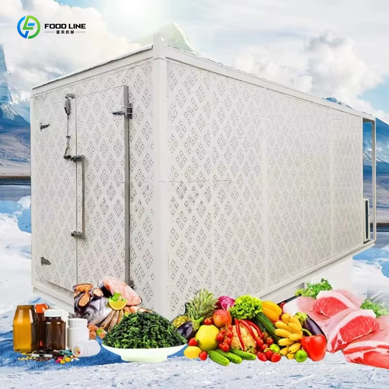 Chambre froide mobile sur conteneur de 20 ou 40 pieds, sur mesure, pour la conservation des aliments