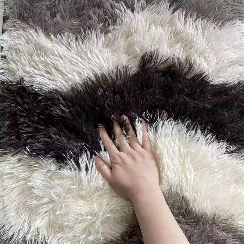 Grand tapis de salon moderne