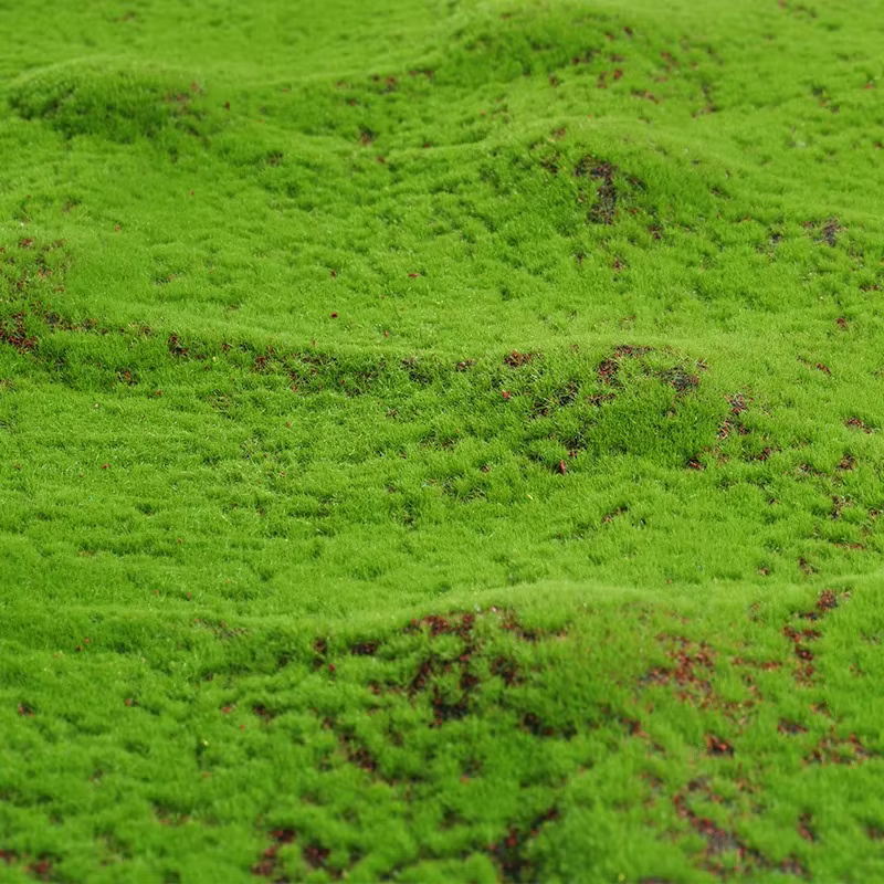 Tapis d'herbe artificielle 50x50cm
