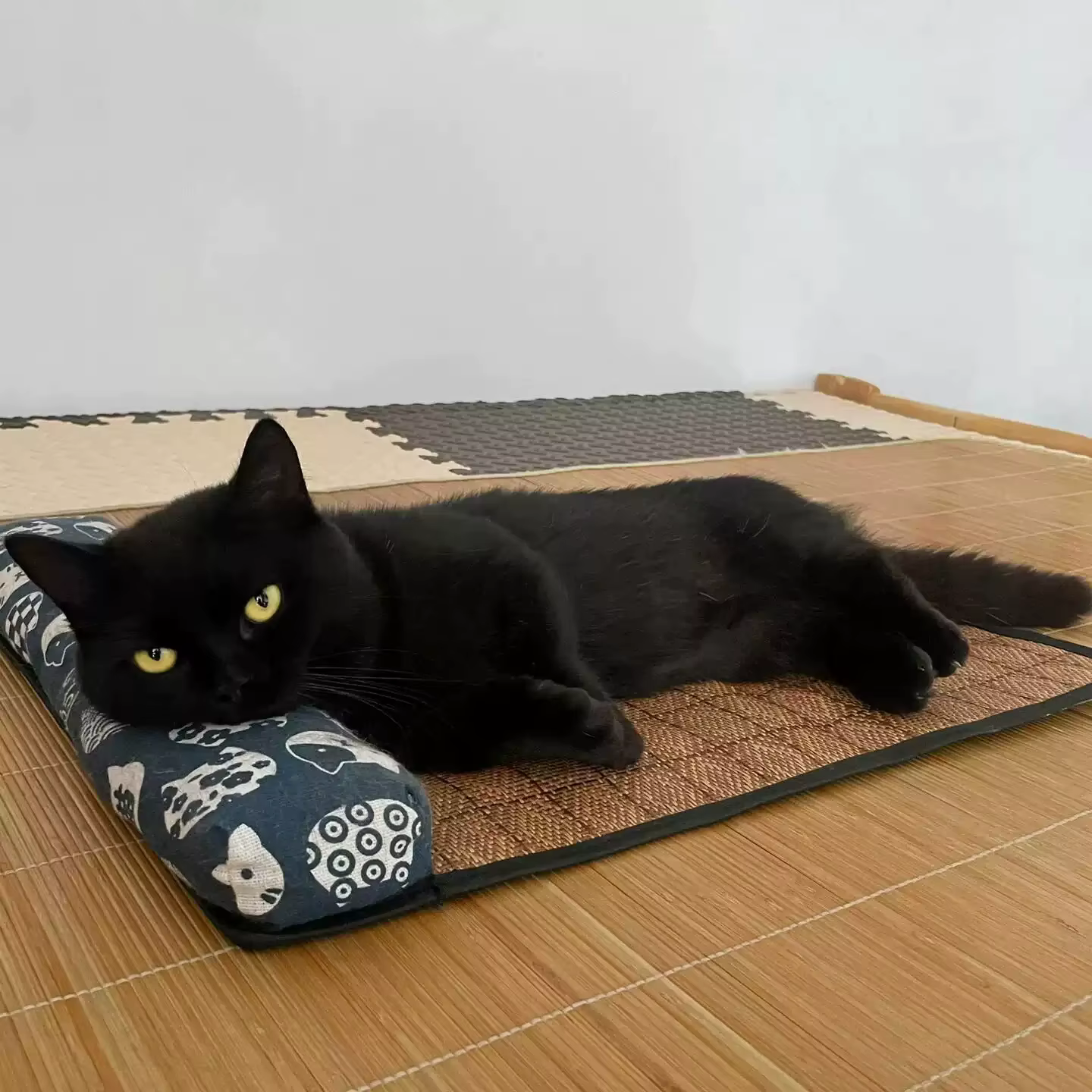 Tapis de refroidissement naturel pour chat
