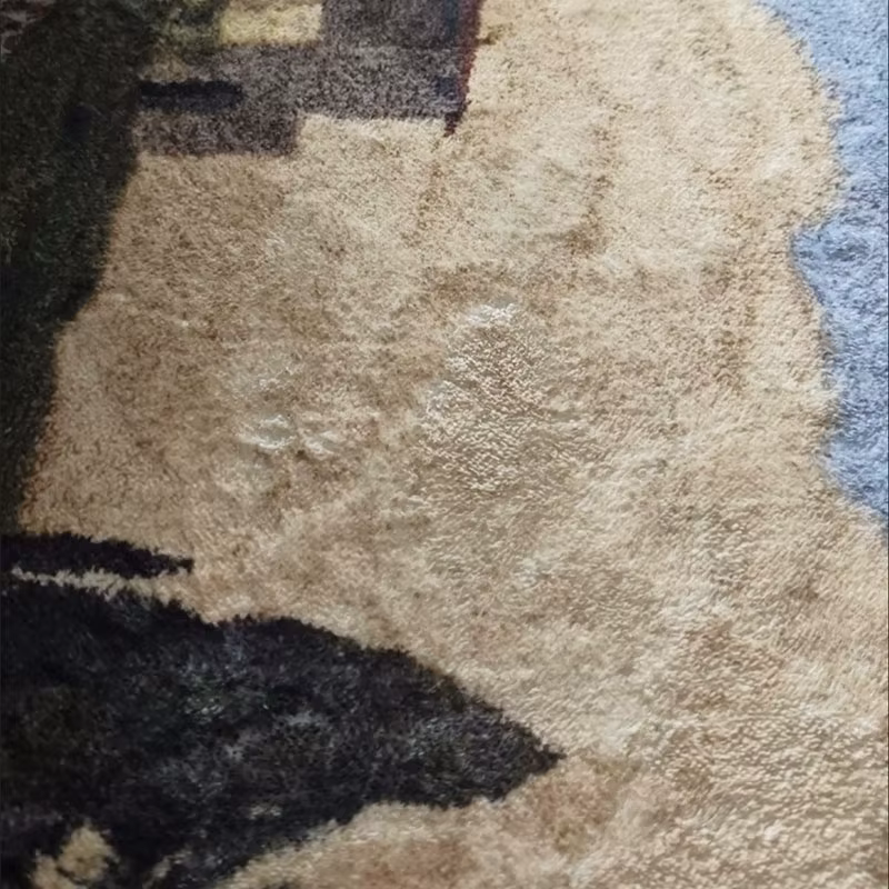Tapis imprimé rétro, tapis en peluche antidérapant pour salon