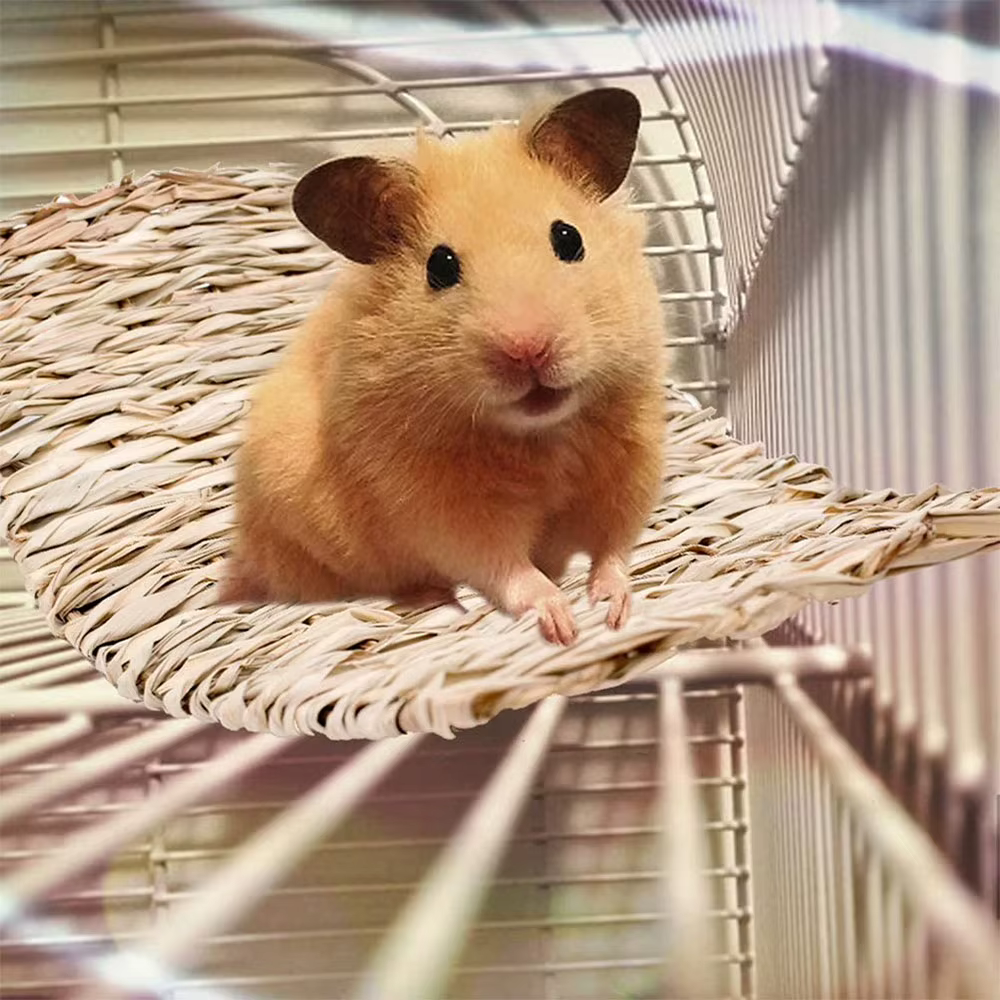 Polymère à Mâcher Tissé en Paille Naturelle pour Petit Animal