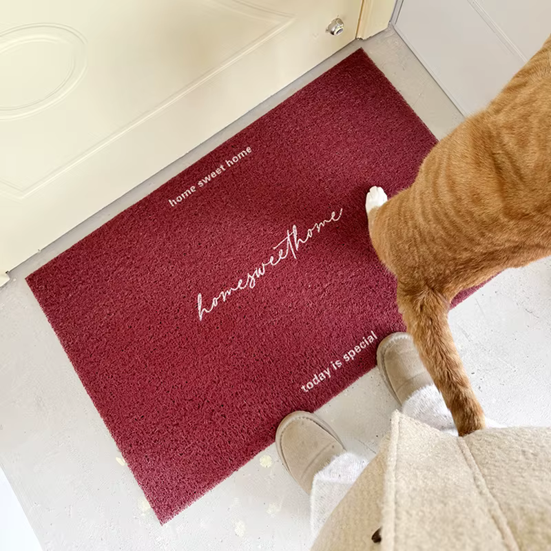 Tapis de porte d'entrée coréen de couleur unie