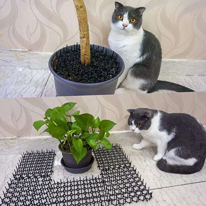 Tapis de jardin répulsif pour chats et chiens