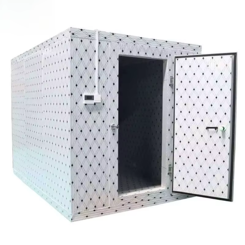 Chambre froide modulaire personnalisée avec télécommande pour le stockage d'aliments, de fruits de mer et de produits pharmaceutiques, avec surveillance IoT