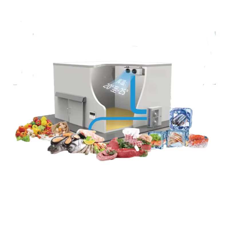 Chambre froide sur mesure pour poisson, autres unités de condensation semi-hermétiques pour chambre froide, à vendre