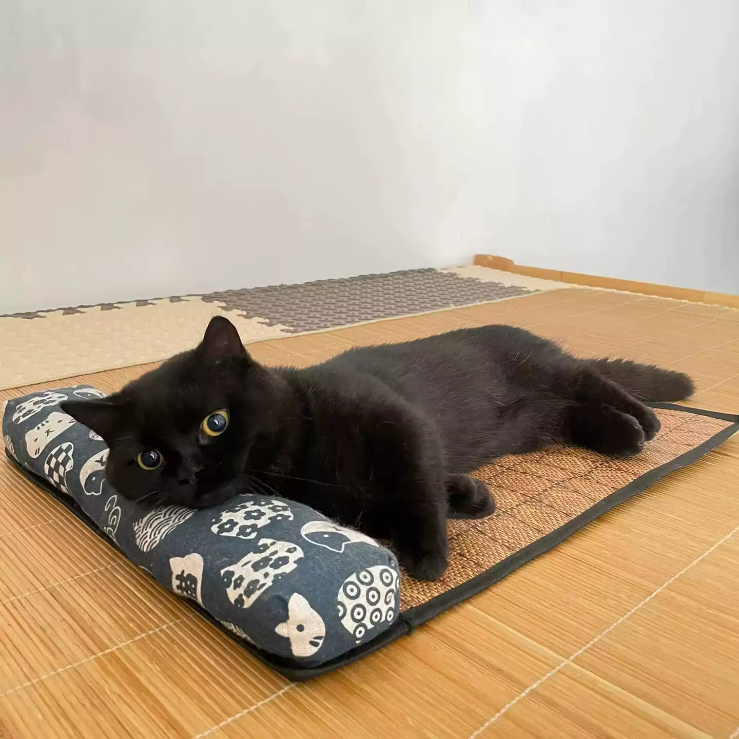 Tapis rafraîchissant naturel pour chat