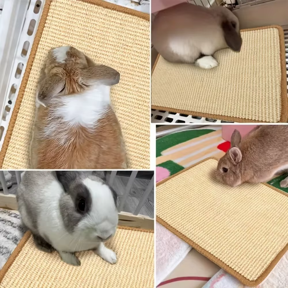 Tapis à mâcher et à gratter pour lapin – Coussin antidérapant en fibre naturelle | Sous-vêtements en cage et soins des