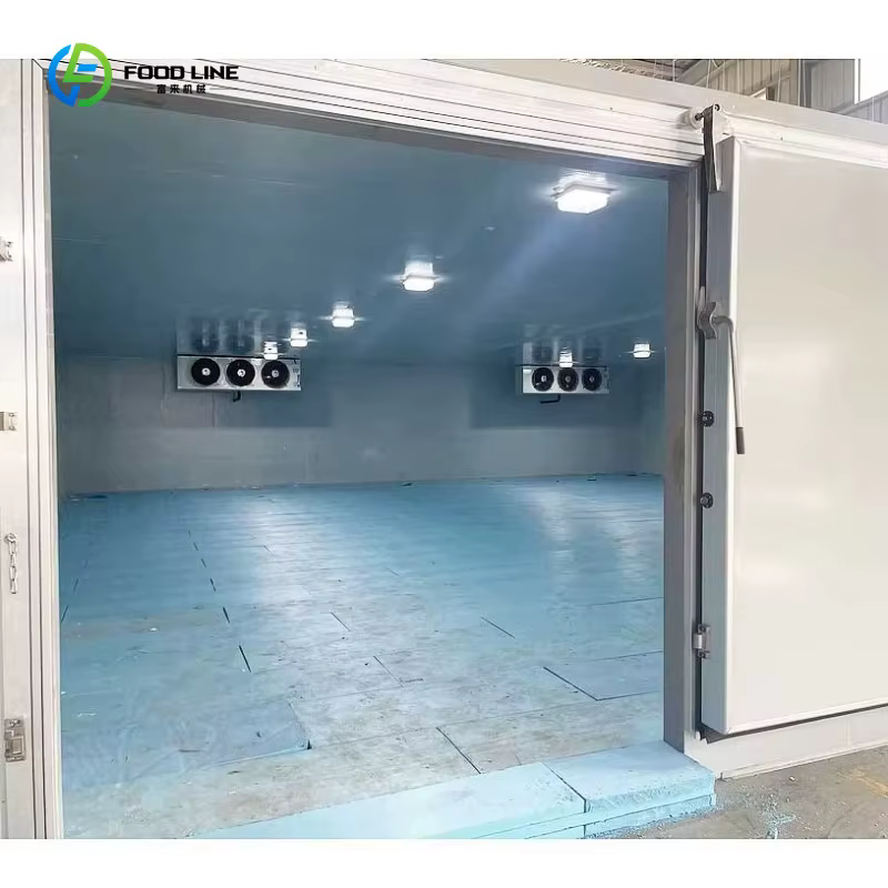 Chambre froide modulaire personnalisée en conteneur, chambre froide à panneaux sandwich, chambre froide en acier inoxydable