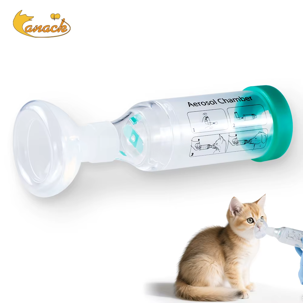 Chambre d'aérosol pour chat, inhalateur Portable pour chien, entretoise avec indicateur respiratoire, masque en Silicone pour équipement vétérinaire, clinique vétérinaire