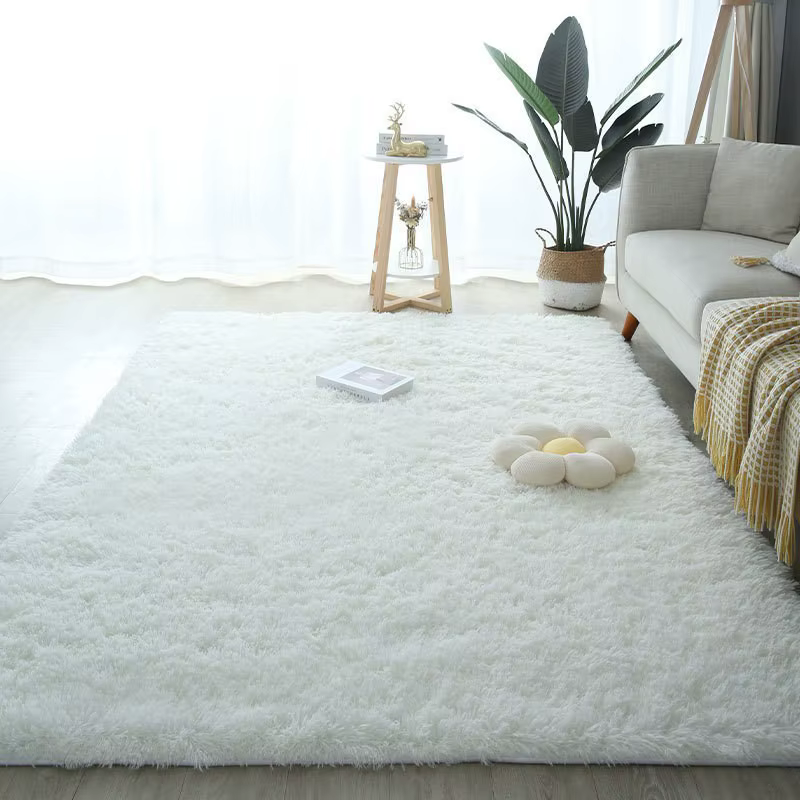 Tapis lavable à poils longs pour salon