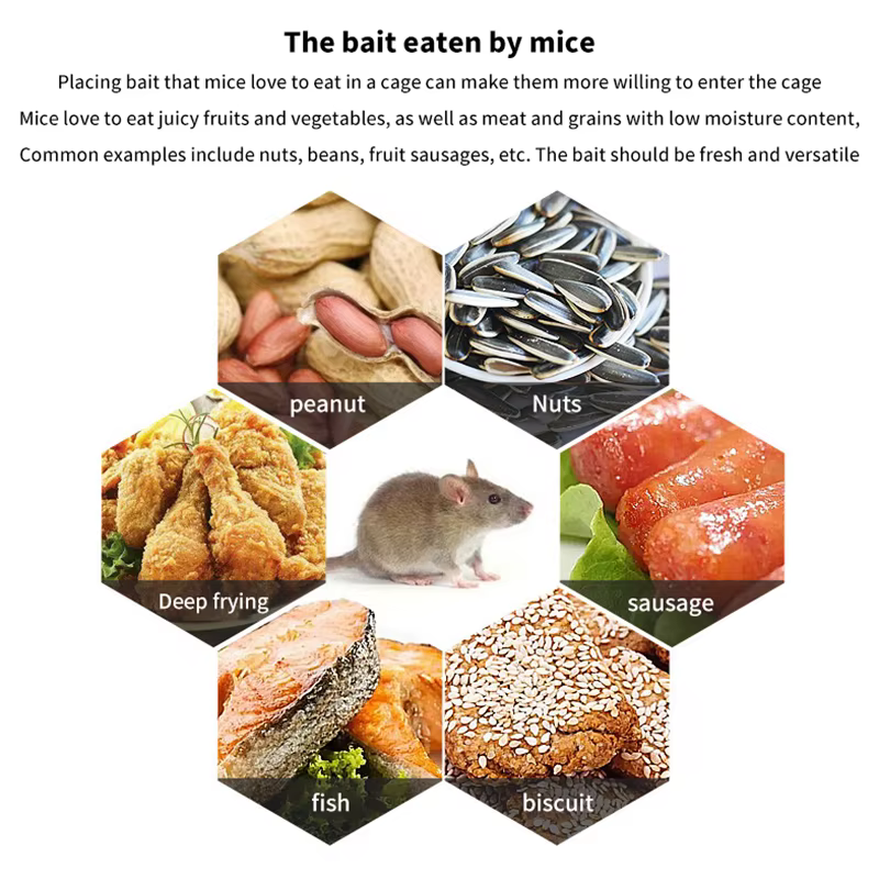 Piège à rats et souris multi-captures, cage anti-nuisibles pour tous les rongeurs