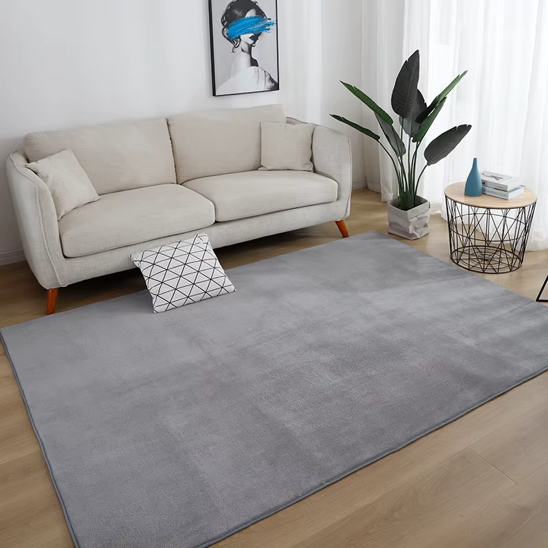 Grand tapis gris pour salon