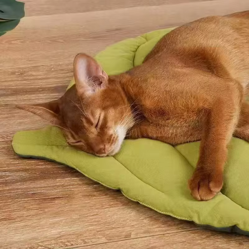 Tapis de lit en coton doux en forme de feuille pour chaton