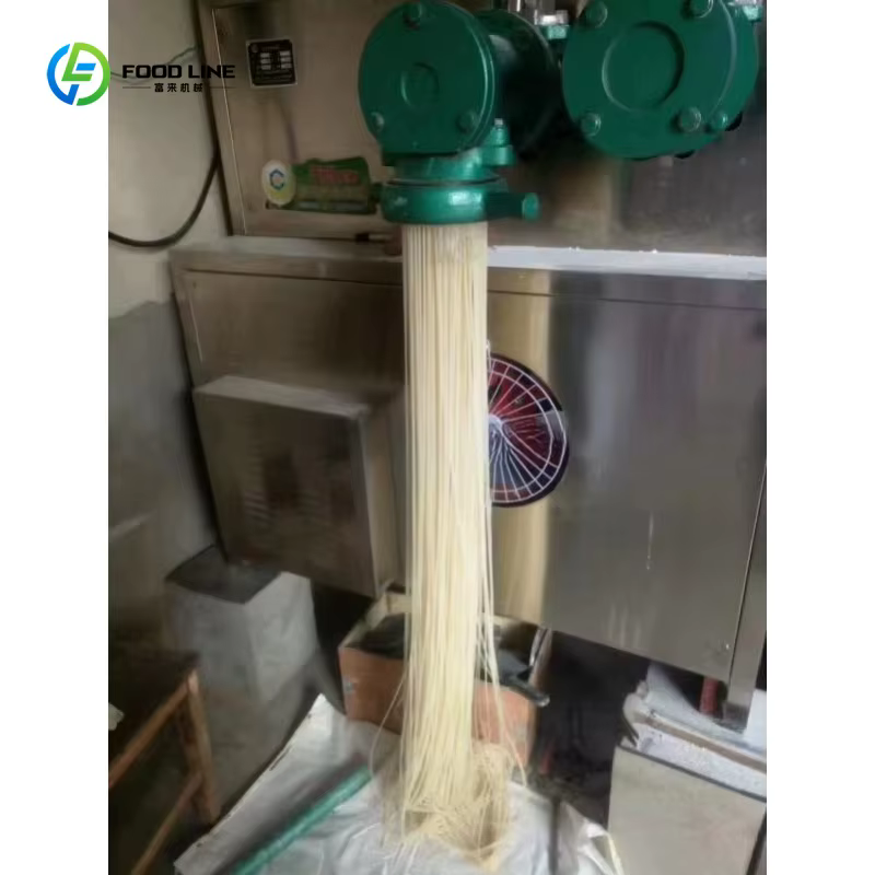 Machine à pâtes commerciale populaire, équipement de fabrication de pâtes, Machine à Spaghetti pour Restaurant