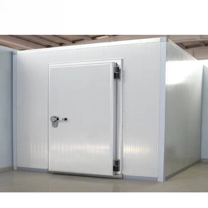 Chambre froide modulaire personnalisée avec télécommande pour le stockage d'aliments, de fruits de mer et de produits pharmaceutiques, avec surveillance IoT
