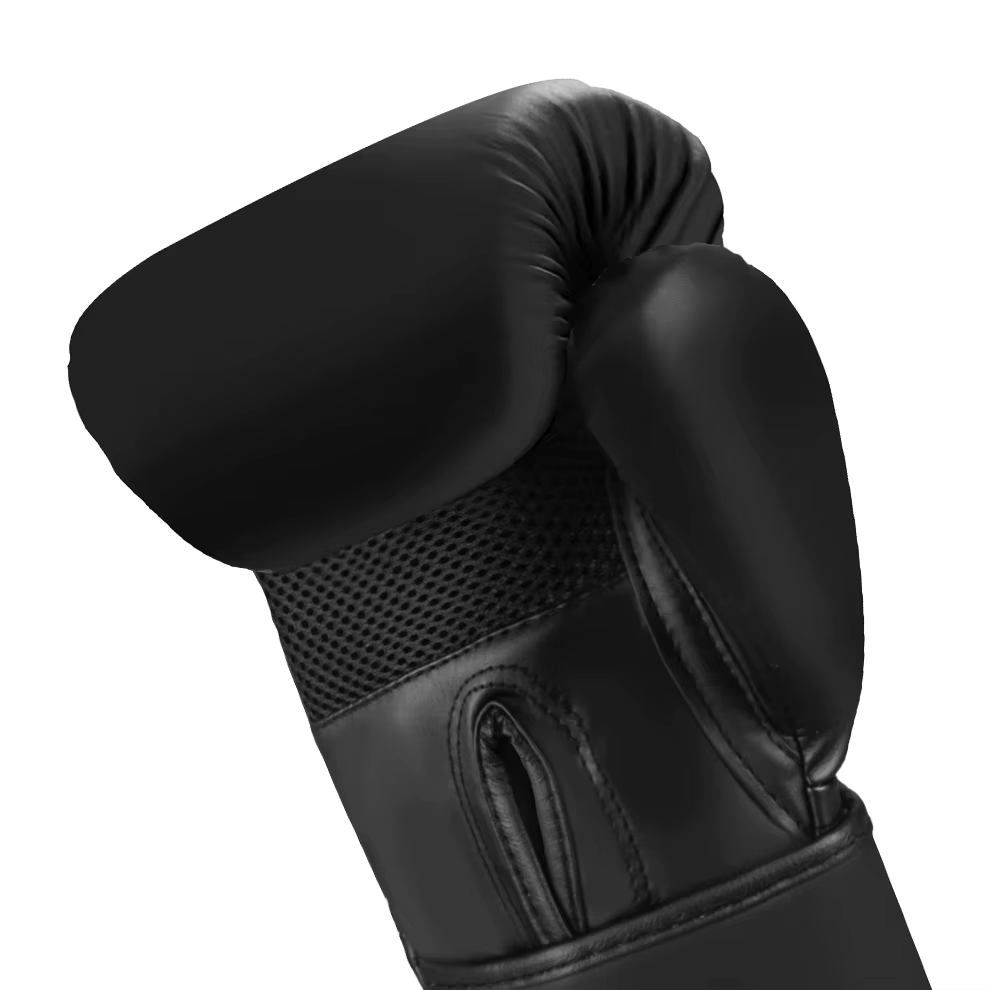 Gants de boxe professionnels pour adultes, 6/8/10/12oz, pour Sanda, Muay Thai, entraînement, sac de sable, combat libre, MMA, pour hommes et femmes