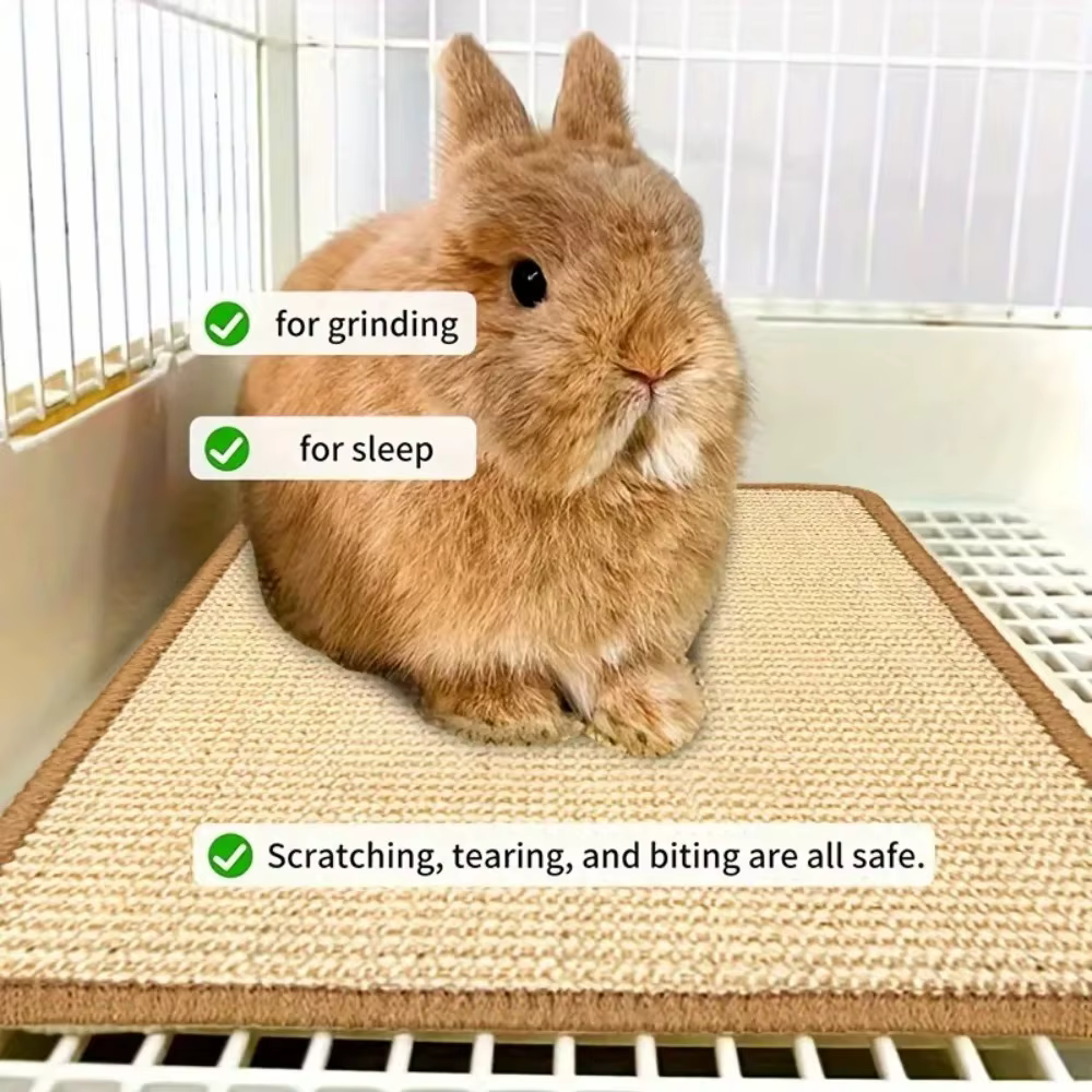 Tapis à mâcher et à gratter pour lapin – Coussin antidérapant en fibre naturelle | Sous-vêtements en cage et soins des