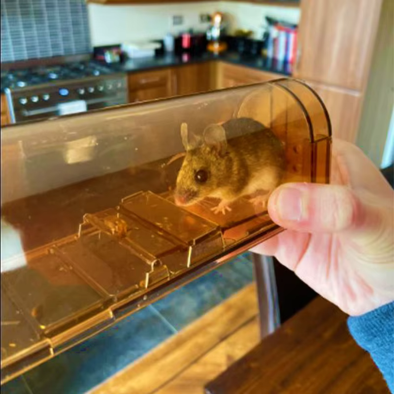 Piège à souris en plastique, 1 pièce, pour chambre à coucher, cuisine, entrepôt, capture facilement les rats, piège à pédale haute sensibilité, cadeau