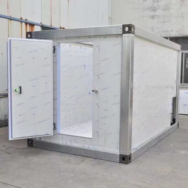 Prix de la salle de stockage au froid de petite taille Chambre froide réfrigérée pour la viande et les fruits de mer