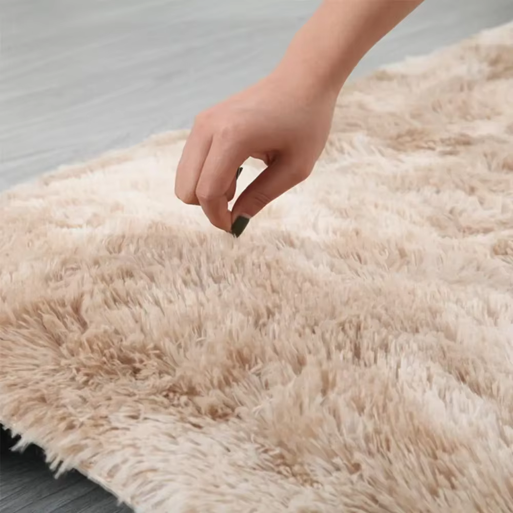Tapis ovale moelleux pour Salon