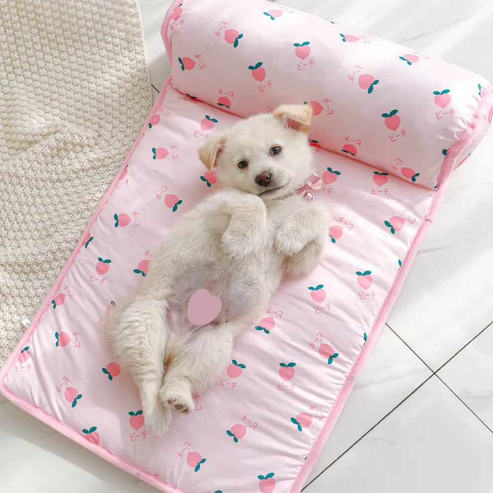 Tapis rafraîchissant pour chien