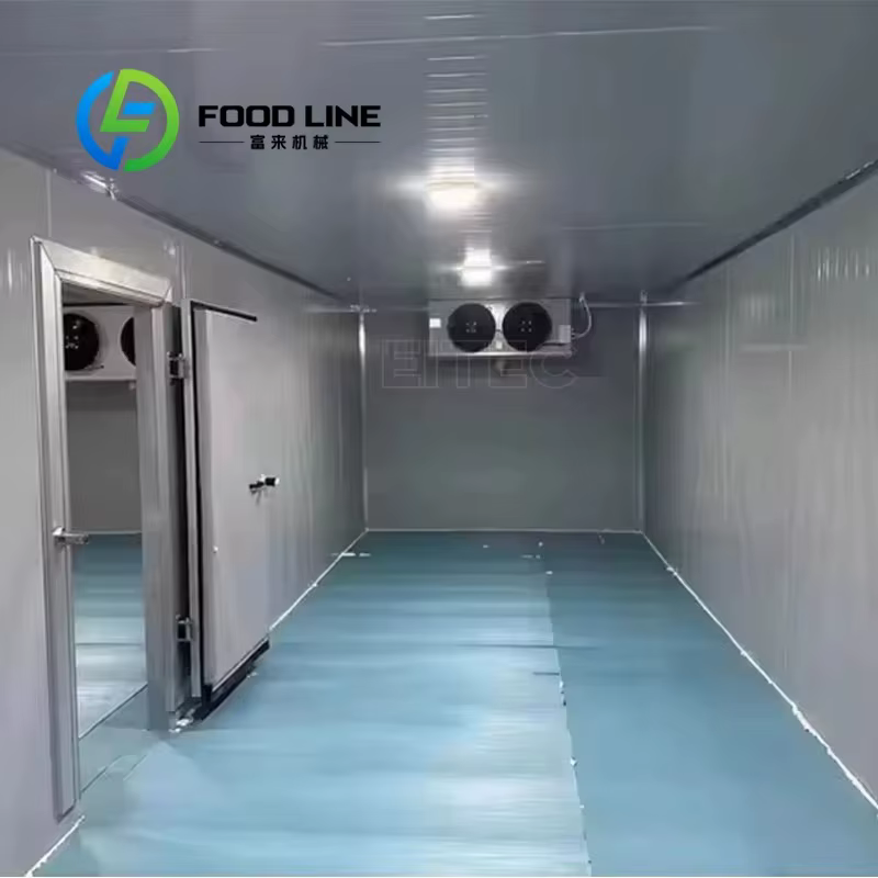 Salle de stockage au froid personnalisée/chambre à froid/passer dans le congélateur