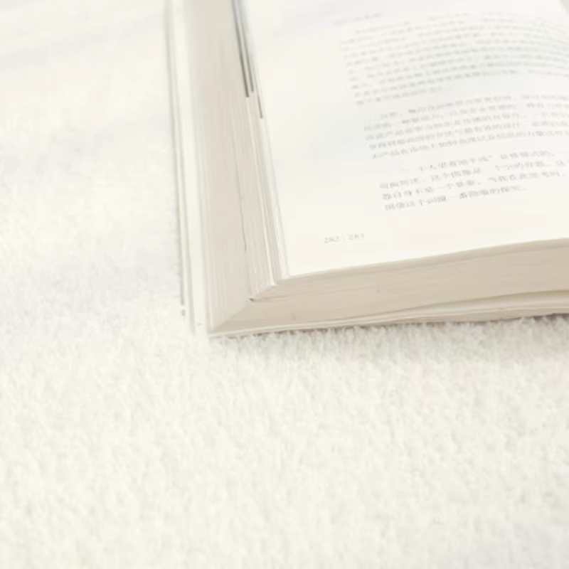 Tapis de décoration de salon de Style français