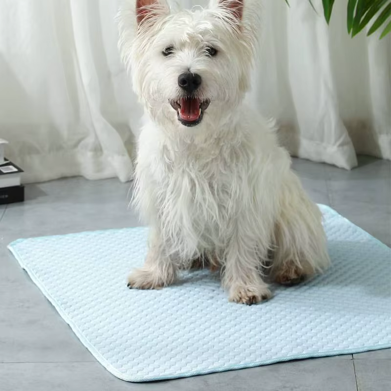 Tapis rafraîchissant pour chat