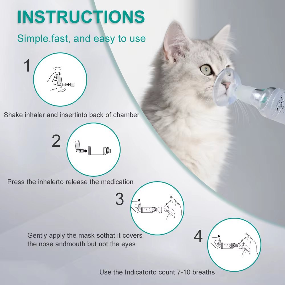 Chambre d'aérosol pour chat, inhalateur Portable pour chien, entretoise avec indicateur respiratoire, masque en Silicone pour équipement vétérinaire, clinique vétérinaire