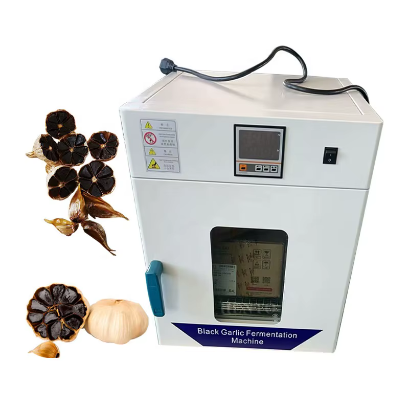 Machine de Fermentation d'Ail Noir à Température Contrôlée, Machine Industrielle de Traitement Personnalisée de Haute Précision