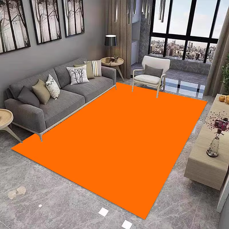 Tapis de salon Simple de couleur unie